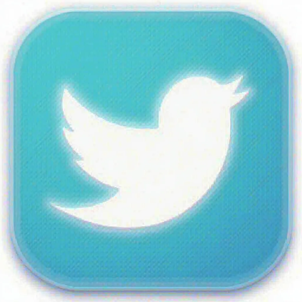 Twitter